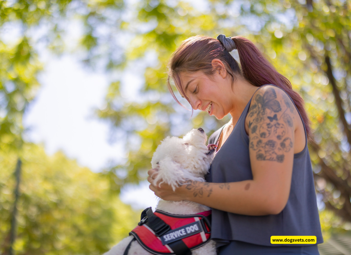 What You Need to Know About ESA Dog Training